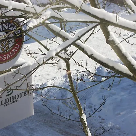 Waldhotel 3* Kelkheim