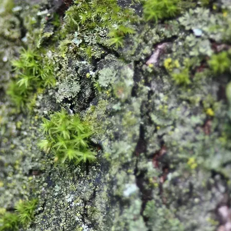 Hotel Waldhotel Kelkheim