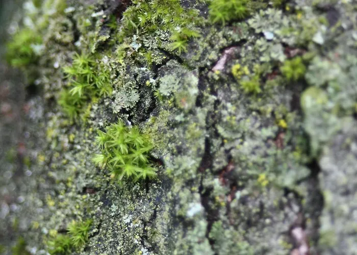 Hotel Waldhotel Kelkheim